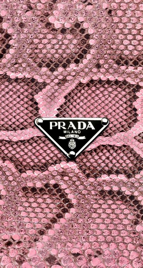 hot pink pradas|pink prada background.